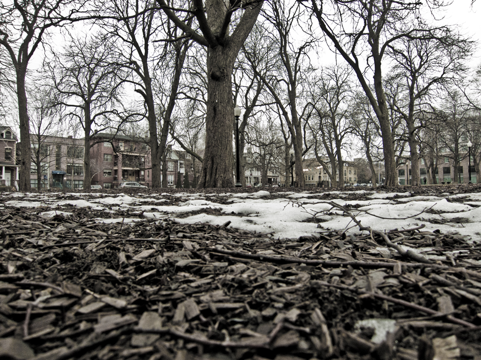 about the extent of winter 2012